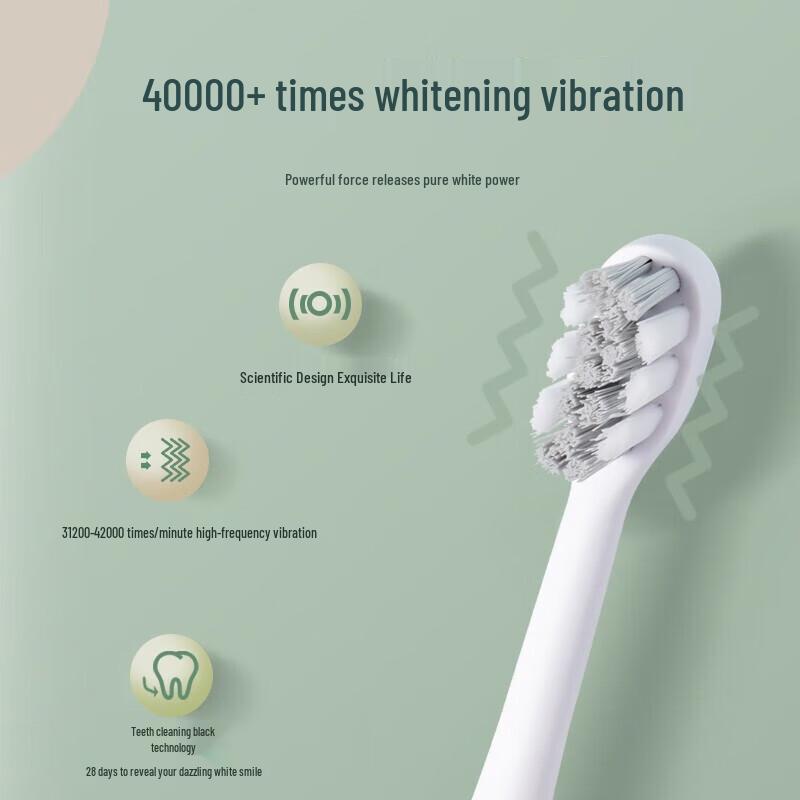 Qianshan Sonic Electric Toothbrush Gift Set with Sterilizer