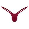 Men's Swimsuits Underwear Low Rise Stretch Bikini Briefs Swimwear