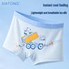 Ice Silk Boys' Briefs, Age 10: Antibacterial Mesh, Breathable, Anti-Chafe, Summer Thin Underwear