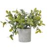 Hill Interiors Box Artificial Plant
