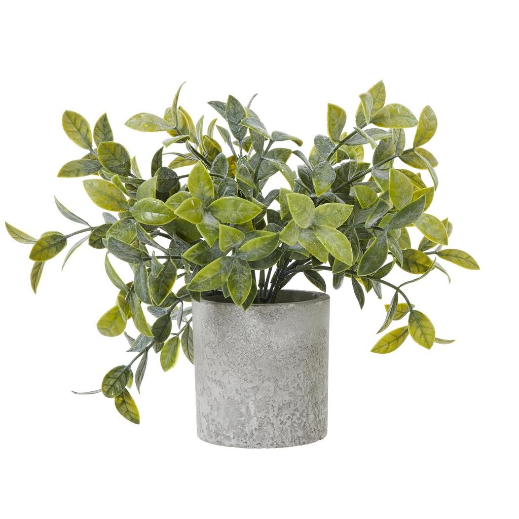 Hill Interiors Box Artificial Plant