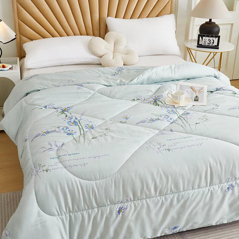 Begaman BGM-BX241 Lavender Soy Fiber Warm Quilt