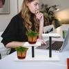 3-Tier Desktop Plant Stand for Office Study Indoor Space-Saving Countertop Flower Pot Shelf Holder Modern Metal Density Board