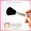 Shishida Seishindo Cheek Brush Slide Silver