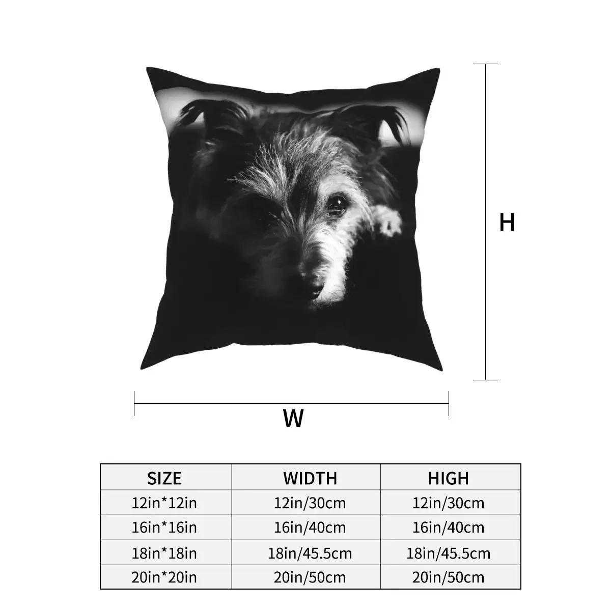

Шотландский терьер Собака Квадратная наволочка Полиэстер Подушки для дивана Скотти Наволочки 66x66cm