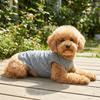 Thin Breathable Dog Reflective Vest Reflective Strips Soft Dog Cooling Vest Sleeveless Pet T-Shirt Photography