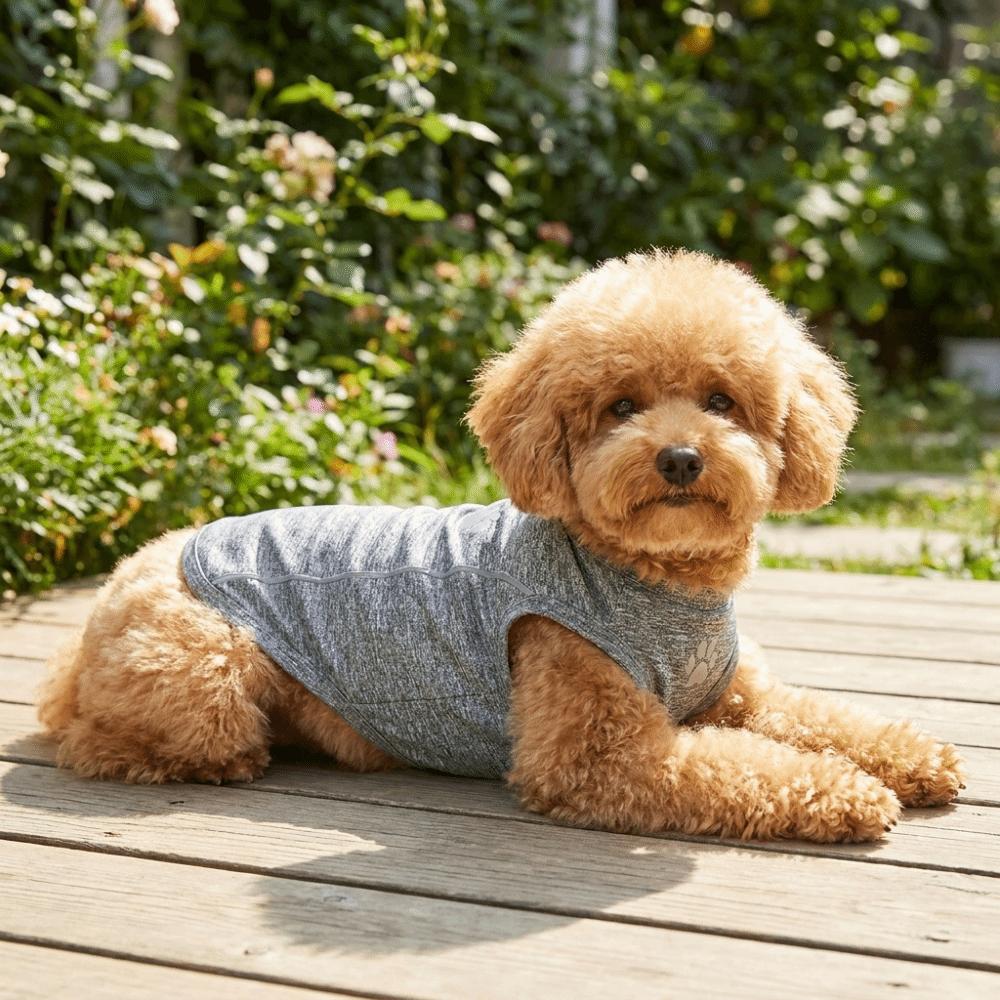 Thin Breathable Dog Reflective Vest Reflective Strips Soft Dog Cooling Vest Sleeveless Pet T-Shirt Photography