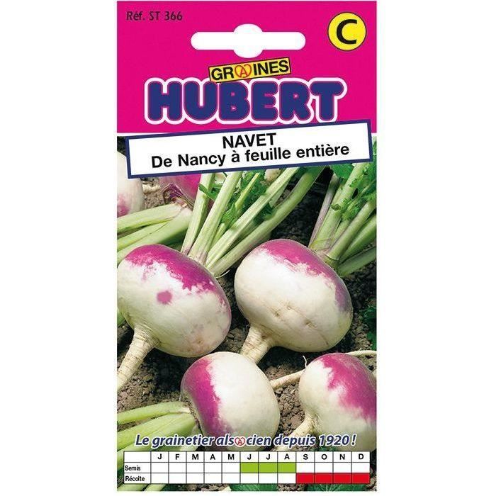 Sachet de 4g de navet de Nancy 366