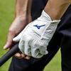 Mizuno Golf Kyokawa Left 5MJML405 Men's Glove, SG, Hand, White, 23cm,