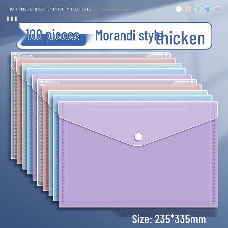 Transparent Large Capacity Snap Button File Bag for Students