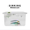 Submerged Minnow Lua Bait Long Casting Bionic Lure for Red Snapper Bass Special Hard Bait for Freshwater and Saltwater Fishing