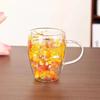 350ml Double Wall Glass Cup with Handle Dried Flower Decorated Coffee Milk Mug Heat Resistant Kitchen Supplies for Friend Gifts