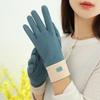 Women Autumn Winter Keep Warm Touch Screen Thin Plus Cashmere Solid Simple Style Gloves Cycling Drive Fashion Elegant Windproof