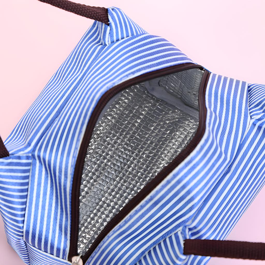 Stripe Lunch Bag Cooler Foldable Lunch Tote Bag, Reusable Lunch Holder Insulated Container Picnic Bag for Men Women