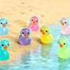 Canard Non Toxique Luminescent dans le Noir Avec Casque 10/20 Pièces Résine Lumineuse Décor Thème Musique Pour Jardin de Fées