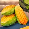 Cute Maize Corn Plush Toys Vegetable Plants Pendant Stuffed Doll Birthday Gifts Home Room Decor