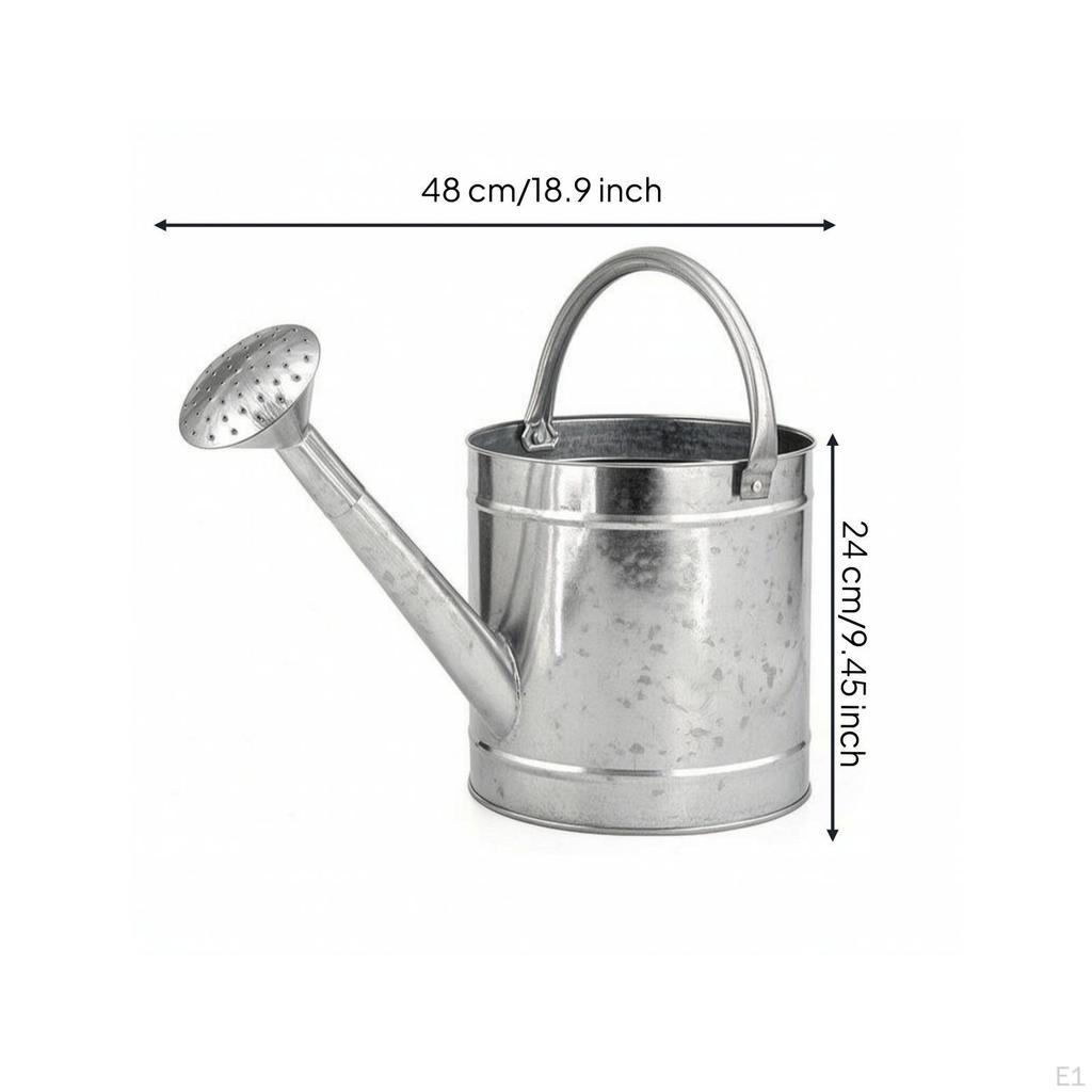Arrosoir avec Pomme d'Arrosage Couvercle Galvanisé Bec Long Arroseur Remplacement