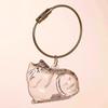 Cute Cat & Dog Fur Keychain Pendant - Creative Transparent Souvenir Gift