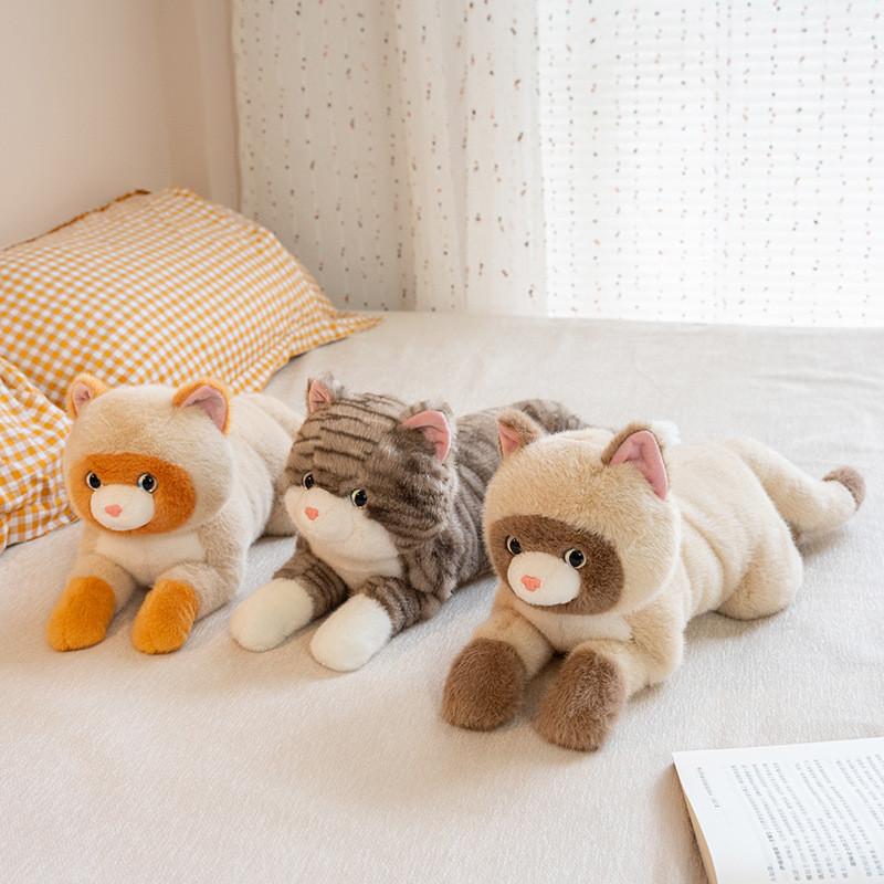 Peluche Gatto Siamese Con Imbottitura in Cotone PP per Regalo di Compleanno e Confort per Bambini