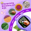 Dispozitive optice – Microscoape