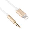 3.5mm Audio Jack Type Aux Data Cable Car Speaker Phone Earphone Converter