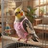 with Leash Bird Flight Suits Snap-Closure Parrot Flying Clothing Bird Vest  for Cockatiel Pigeons