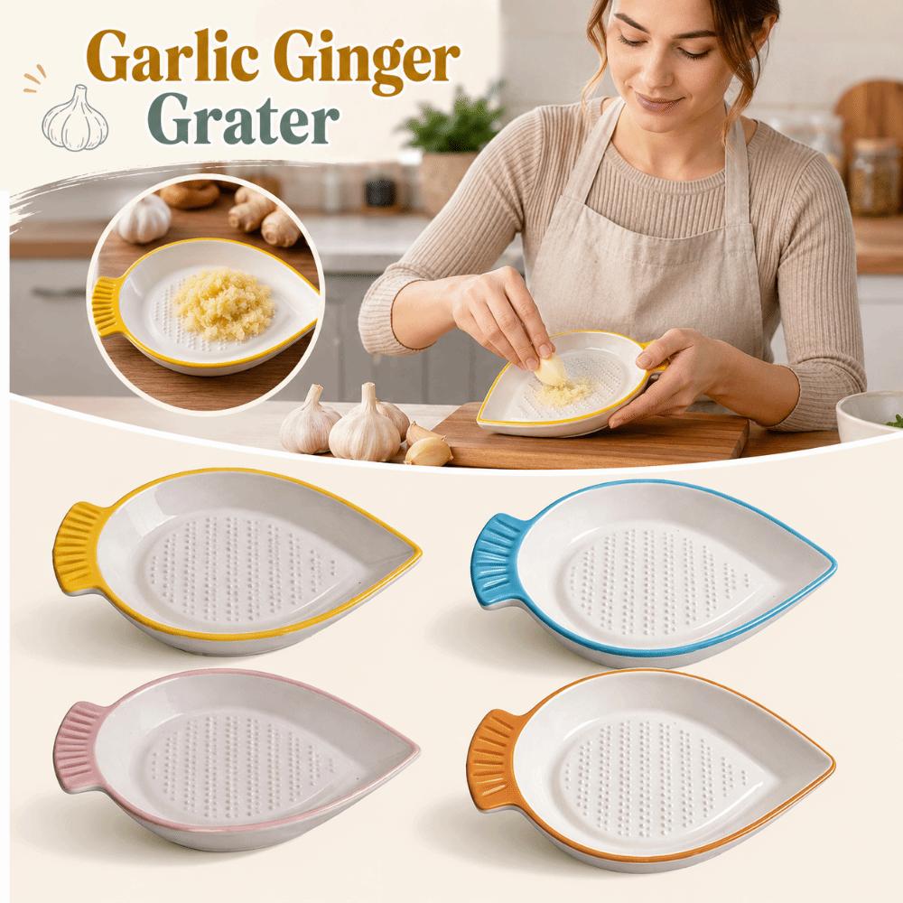 Non-Slip Garlic Ginger Grater Ceramic Seasoning Dipping Dish  Cooking Preparation
