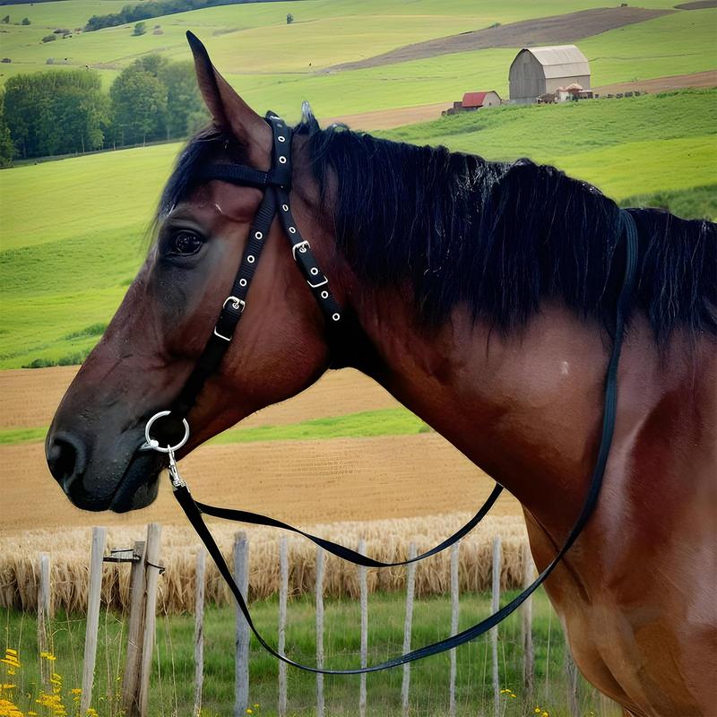 Horse Bridle Headband Throat Latch For Horse Bridle With 3 Buckles Horse Head Headstall Lead Rope Horse Farm Must-have