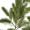 Artificial Pine Needle Dog Tail Rattan Wall Hanging Artificial Green Plant Home Christmas Shopping Mall Decoration