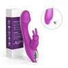 Aixia Oli Bunny Ear Vibrating G-Spot & Clitoral Massager for Women