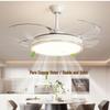 Elegant 48-inch Invisible Blade Ceiling Fan Light