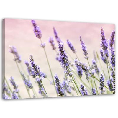 Bytové dekorácie – Obrazy a plagáty