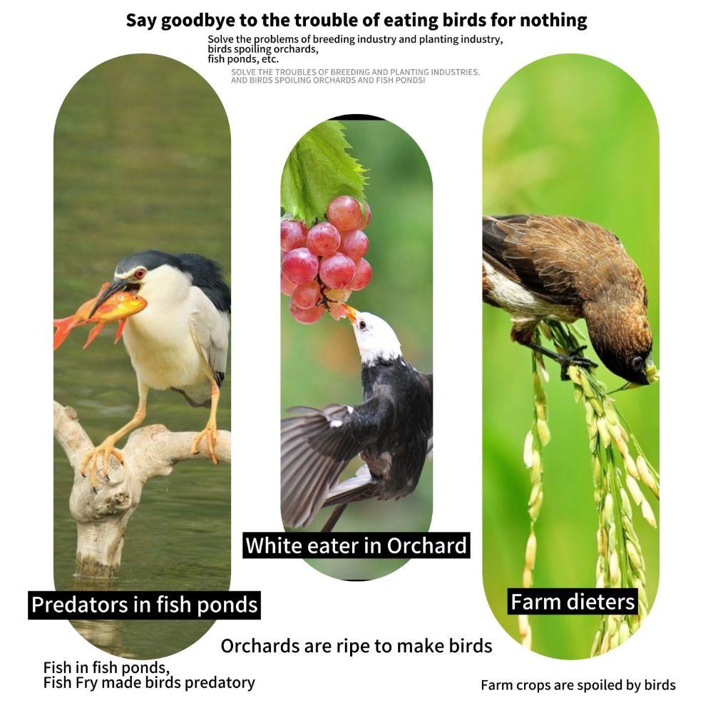 Kordelzug Vogelabwehrnetz Wiederverwendbares Pflanzenschutznetz Neues Maschenpflanzennetz Obstbaum Pflege