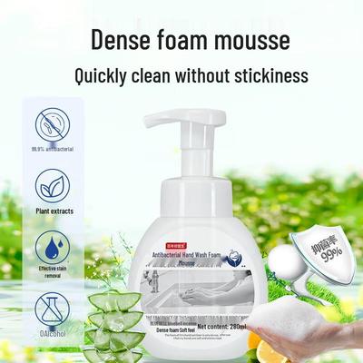 Bainian Xiu Doctor Antibacterial Foaming Hand Wash