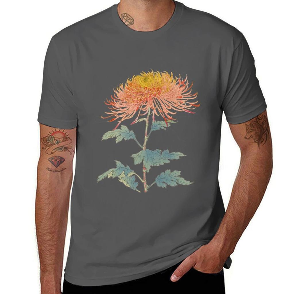 Gold Japanese - Chrysanthemum Needle and Tshirt Man Hasegawa - Red Style - Botanical Illustration T-Shirt Traditional