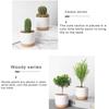 Large/Small White Succulents Planter Plastic Plant Pots White Container Pot