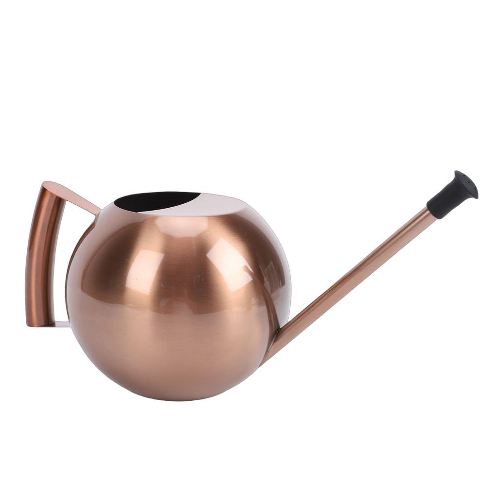 Watering Can with Spout 1000ml Stainless Steel Round Indoor Plant Watering Can with Detachable Head for Home Garden Flower