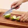 3.5 Inch Paring Knife 67-layers Damascus VG-10 Steel Blade Barbecue Peeling Fruit Kitchen Knives Rosewood Handle Cooking Tools