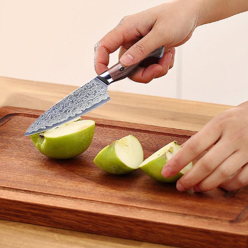 3.5 Inch Paring Knife 67-layers Damascus VG-10 Steel Blade Barbecue Peeling Fruit Kitchen Knives Rosewood Handle Cooking Tools