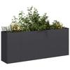 Pot, Black, 200X40X80 Cm, Cold Rolled Steel