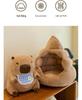 Capybara Ugly-Cute Plush Doll and Pillow Set
