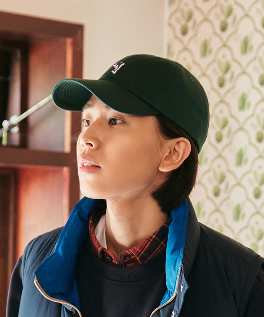 DOLPHIN WAVE APPAREL Dolphin Mini Embroidered Ball Cap Deep Green