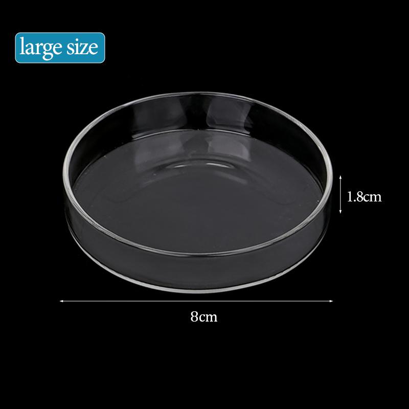 Aquarium Feeding Bowl Fish Tank Feeder Shrimp Tropical Fish Ratfish Glass Feeding Dish Clear Round Tray Reduce Food Scraps
