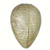 Outdoor Wasp Nest Driver Bee Swirling Fabric Paper Lantern, Egg Shape Hanging Paper Lantern, Trap Trap Bee Wirling Silk Fabric Lantern Water Resistant