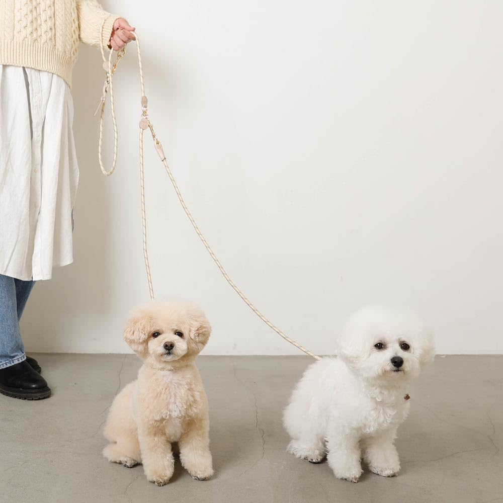 Monchéri [Mixed Color Reflective Reinforced Lead] Dog Lead for Small Dogs (Medium/Mocha) with Reflective Thread for Multiple Dogs, Walks, and Outings