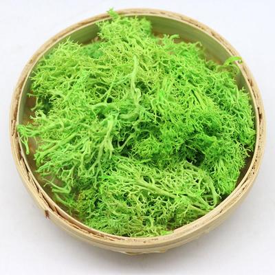 Artificial Plant Eternal Life Moss Garden Home Wedding Christmas Decoration Wall DIY Flower  Micro Landscape Accessories