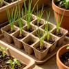 40pcs Peat Pot Seedling Tray Plantable Germination Cups With Labels For Vegetables Flowers Garden Backyard Balcony Greenhouse
