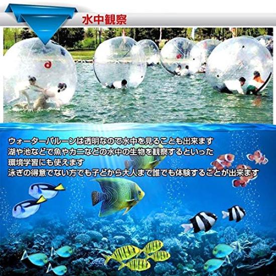 Alice in Wonderland Aqua Ball Festival 2m diameter Ball Event Transparent Water Water Ball Walking on Water Ball (Ball Shape) [Product]