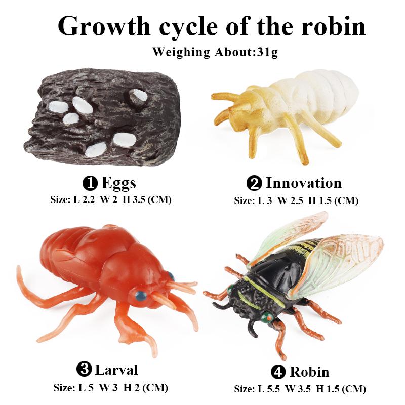 Oenux Simulation Luna Moth Salmon Butterfly Ants Life Growth Cycle Animals Model Action Figures Educational Miniature Kids Toy