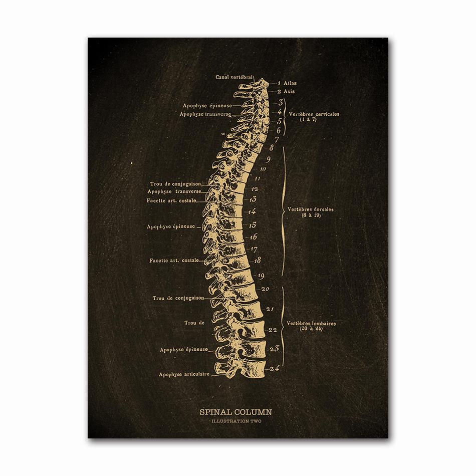 Anatomical Skeleton Chalkboard Poster Kraft Paper Posters DIY Vintage Home Room Medicine Student Decor Medical Art Wall Painting